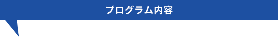 プログラム内容