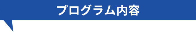 プログラム内容